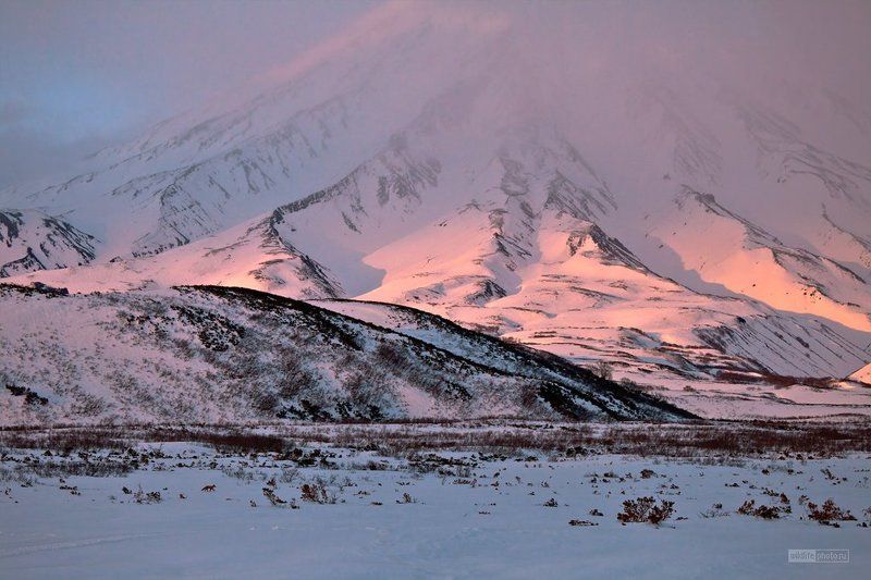 кроноцкий заповедник, озеро кроноцкое,камчатка. Лисьими тропами... фото превью