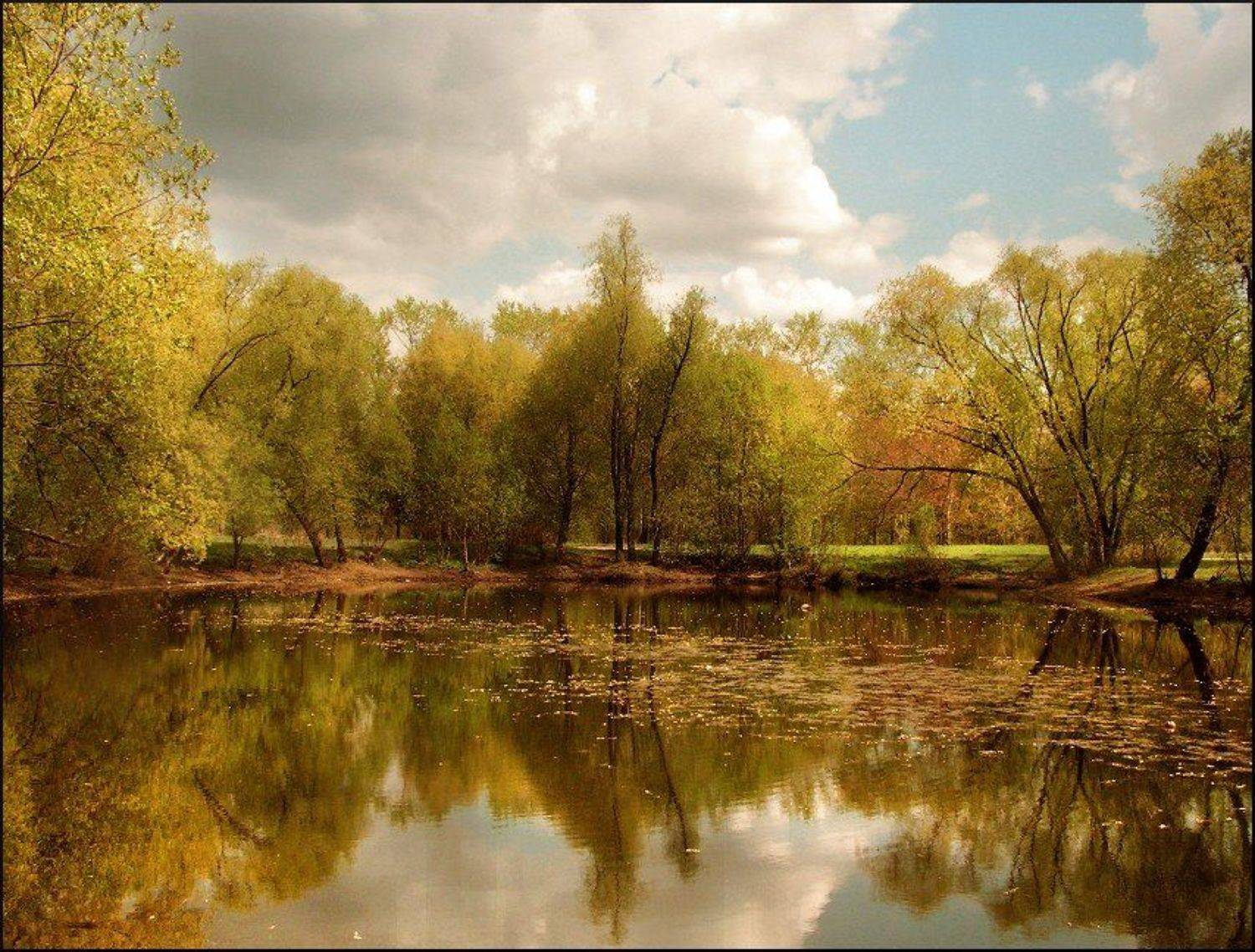 , &bull;**/ASSOL**&bull;