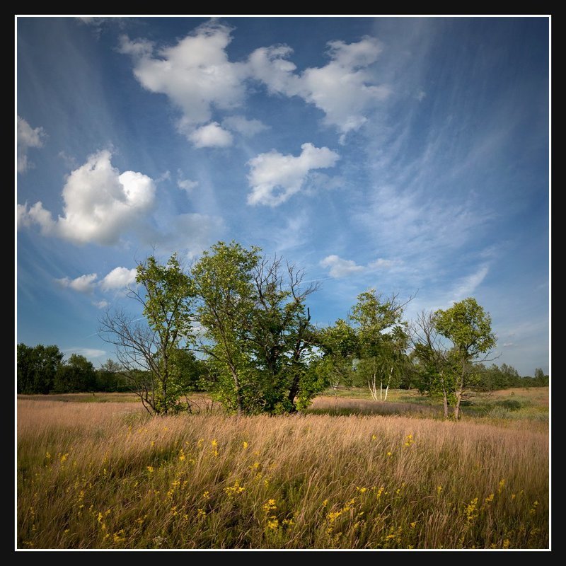 Вспоминая лето... фото превью