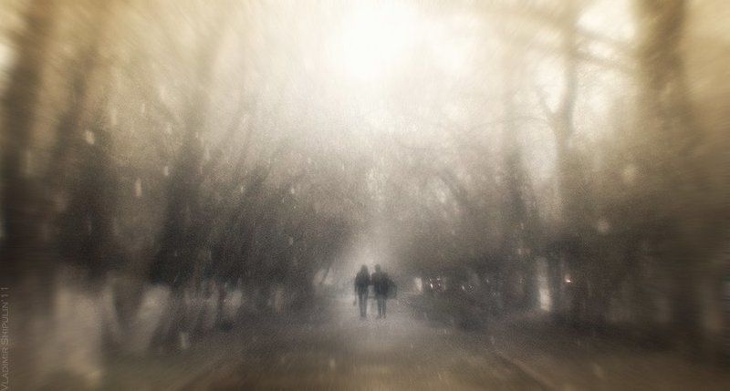 парк,парки,аллея,аллеи,дорога,дороги,путь,пути,владимир,шипулин,фотограф,томск,пара,пары,девушка,парень,мужчина,городской,город * * * фото превью