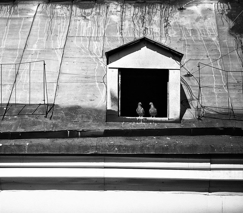 любовь  фото превью