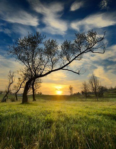 в тёплых лучах рассвета
