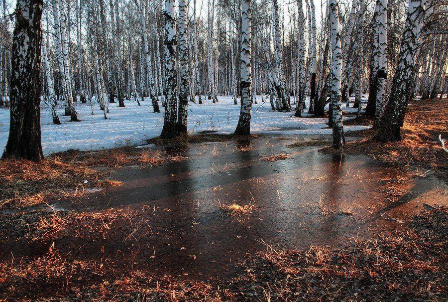 , Николай Морский