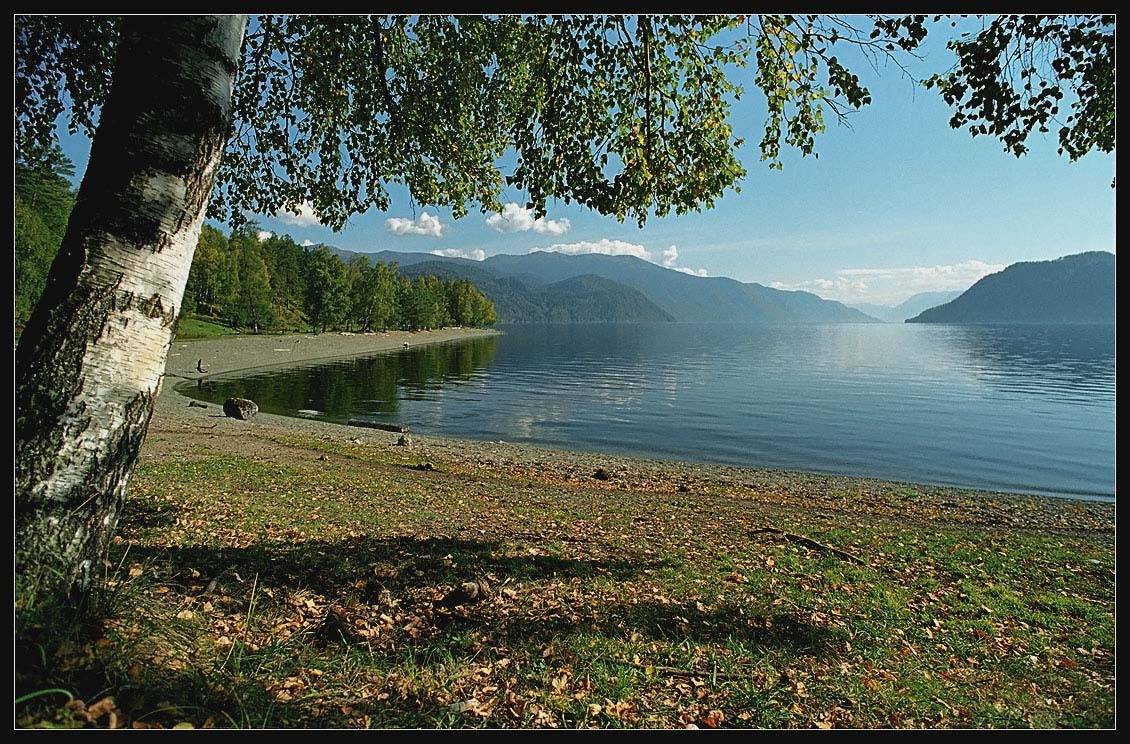 алтай, телецкое озеро, АНАТОЛИЙ ДОВЫДЕНКО