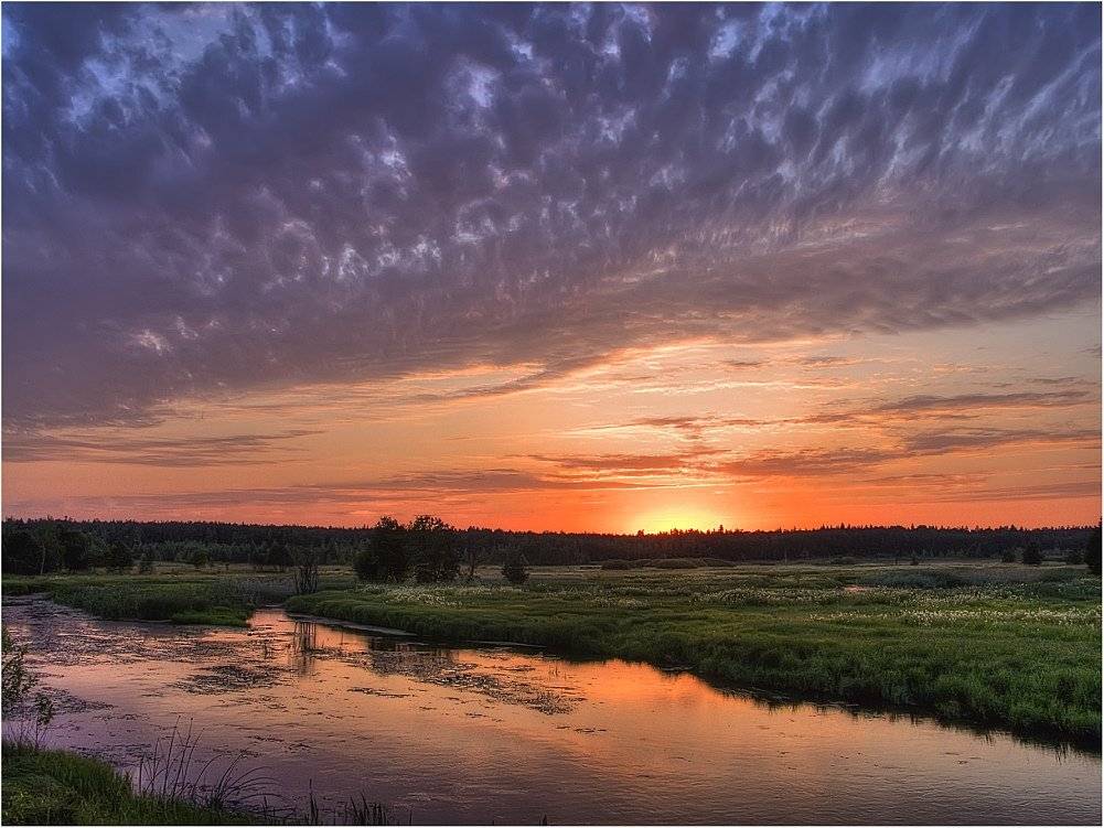 , Потап Кузьмич
