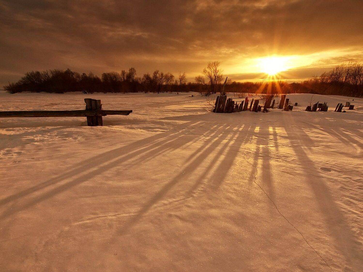 , Максим Евдокимов