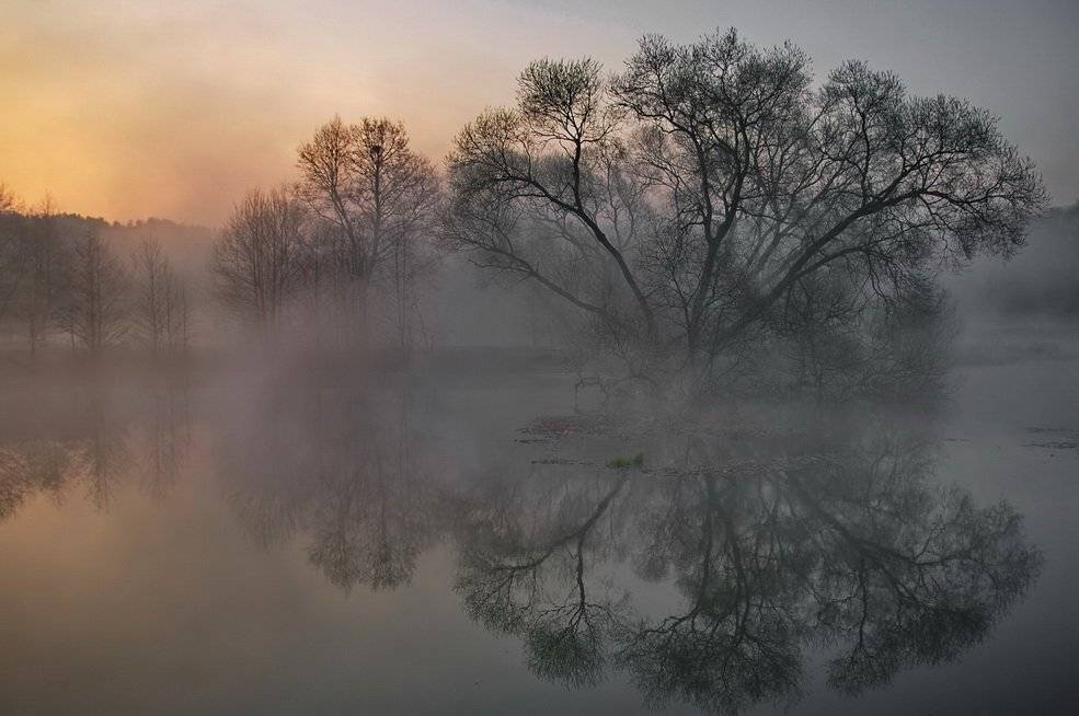 , Володя Демидчик