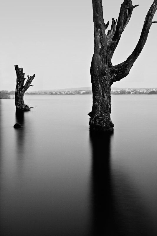 Two Witnesses фото превью