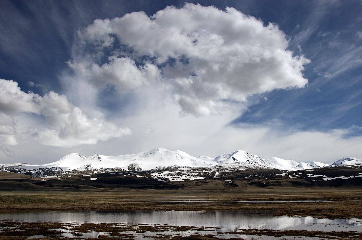 табын-богдо-ола, укок, алтай, Артем Головин