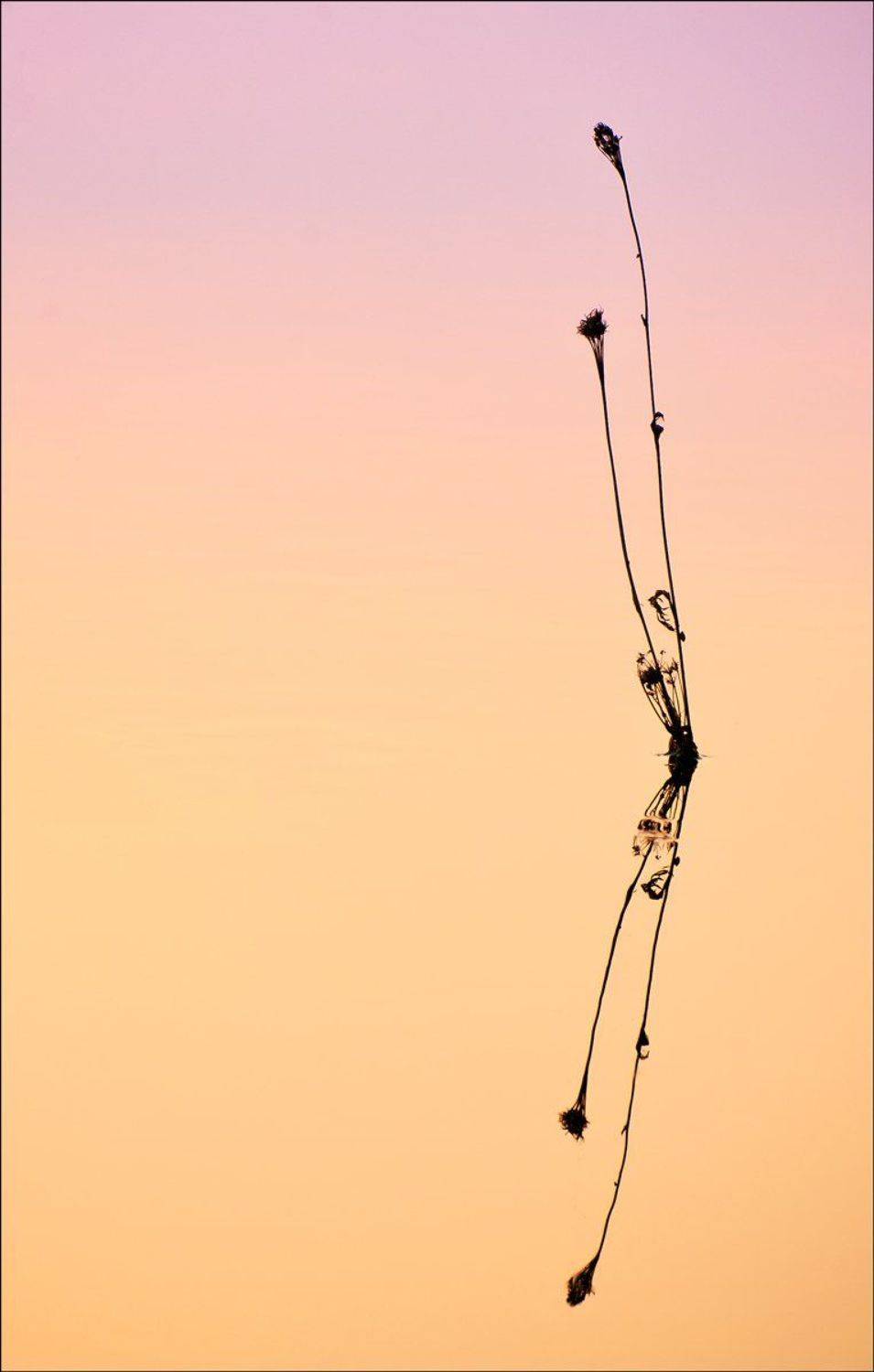 , Срибный Евгений