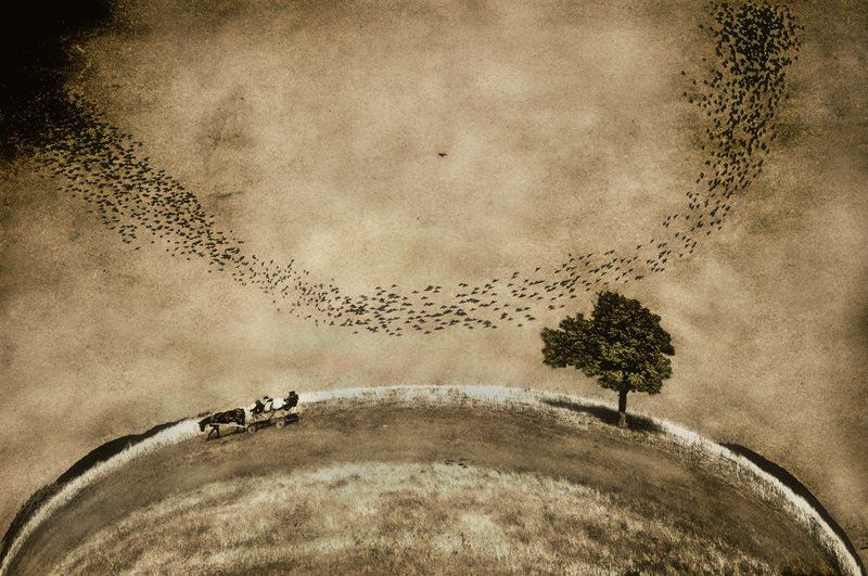 Crazy story фото превью