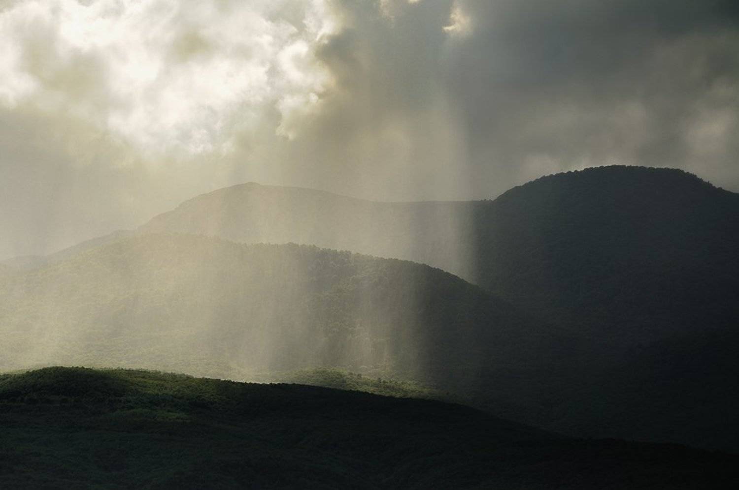 , Андрей Ру...