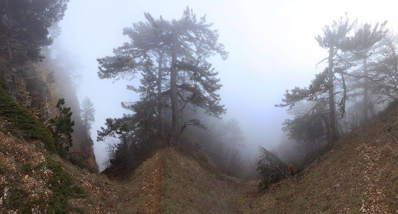 крым, лес, горы, туман, скалы Лесными тропами фото превью