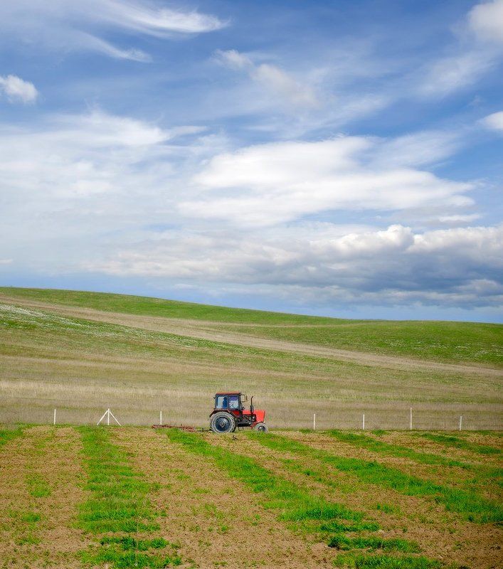 полевая-весенняя фото превью
