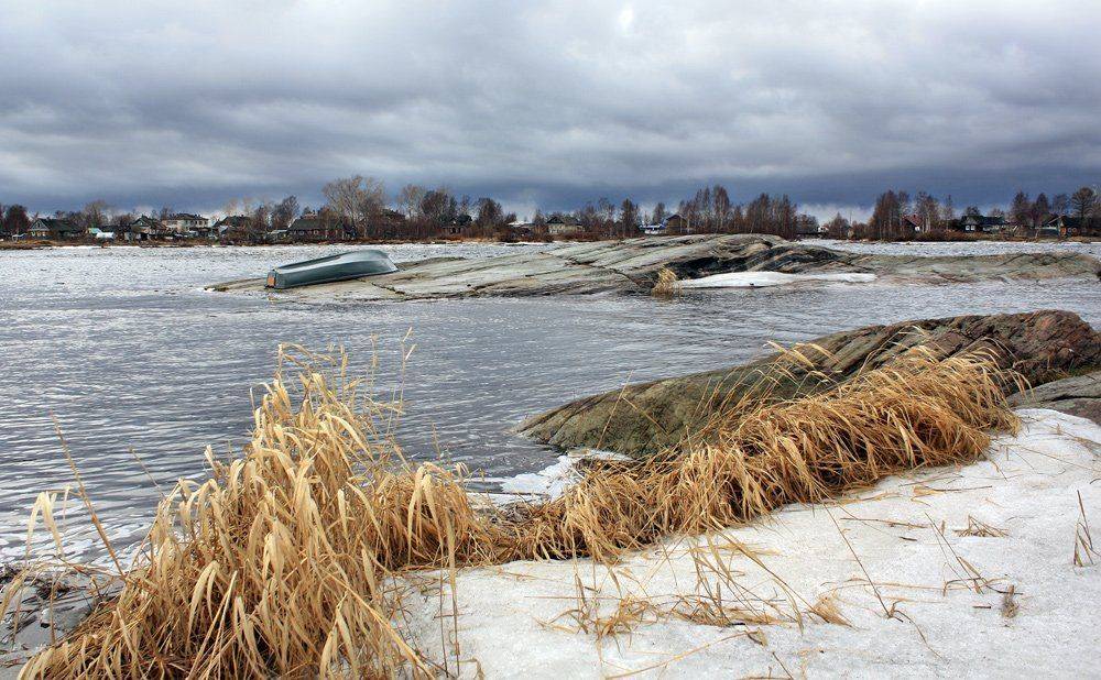 , Андрей Котов