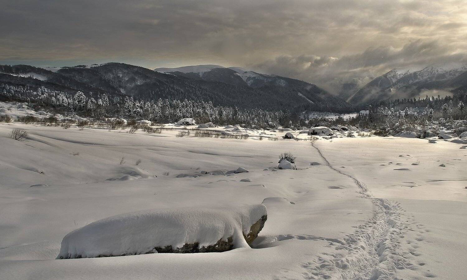 горы, кавказ, лаго-наки, ФЁДОР