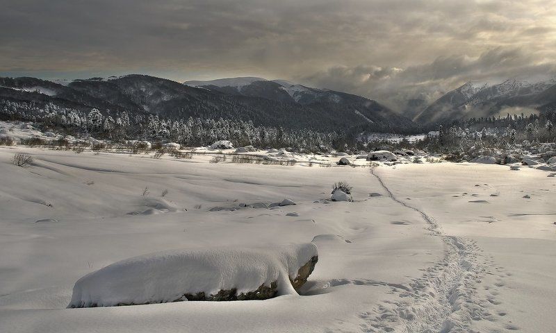 Нам осталось три четверти пути фото превью