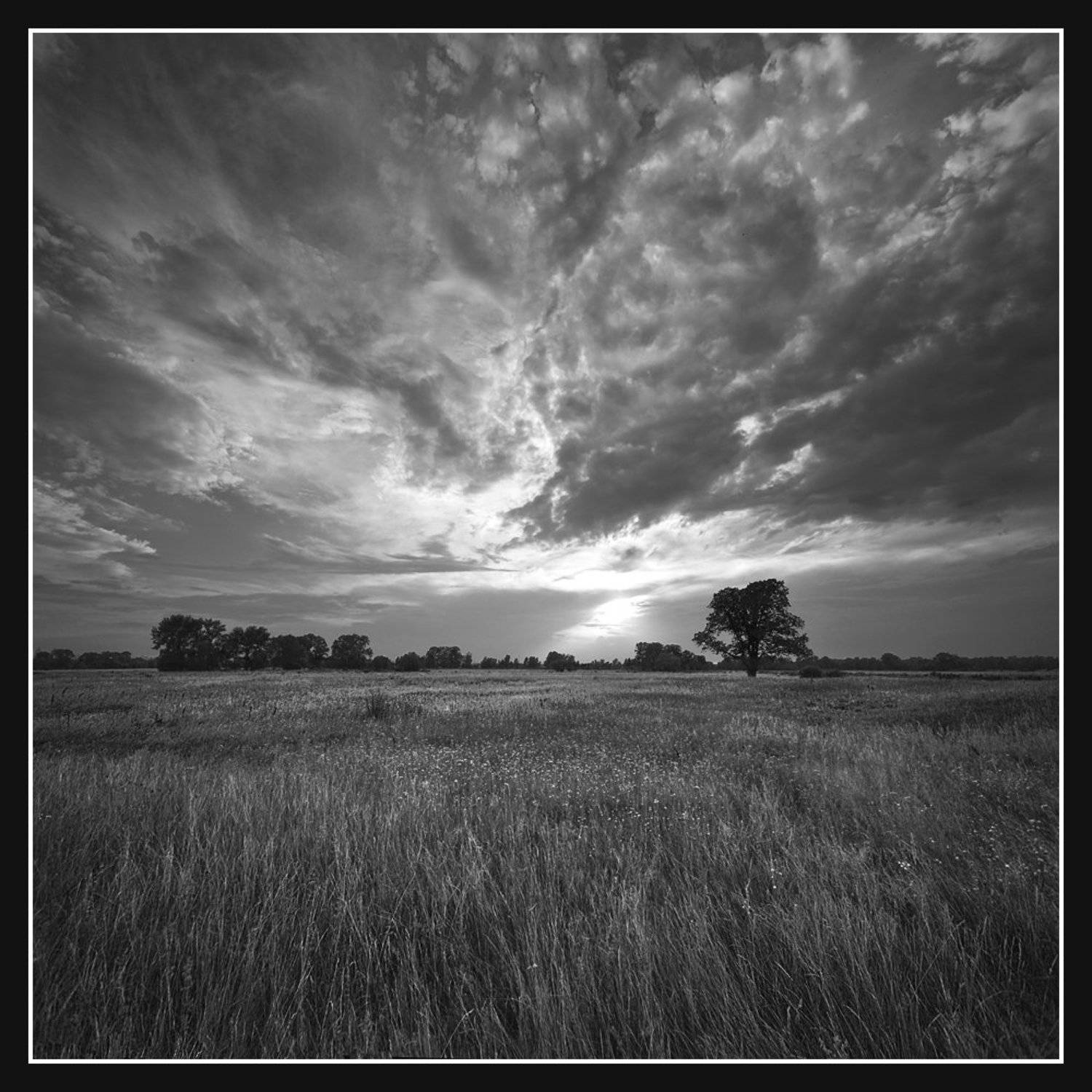 август, черторой, Алексей Соловей