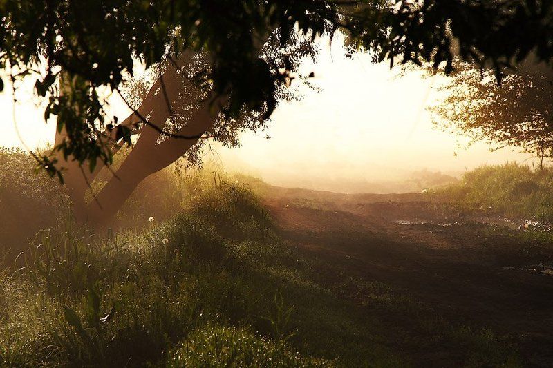 Рассветная фото превью