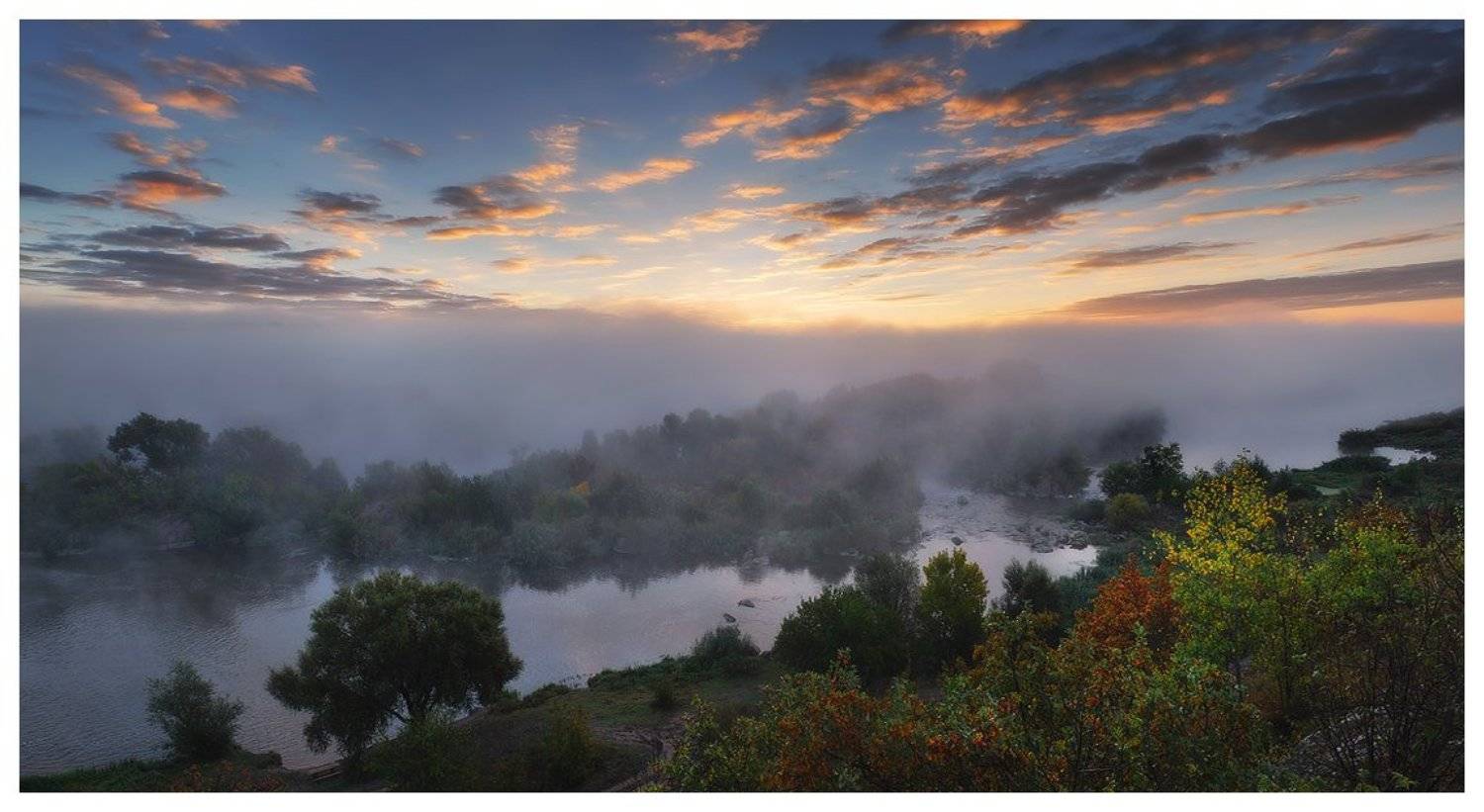 , Денис Кривой