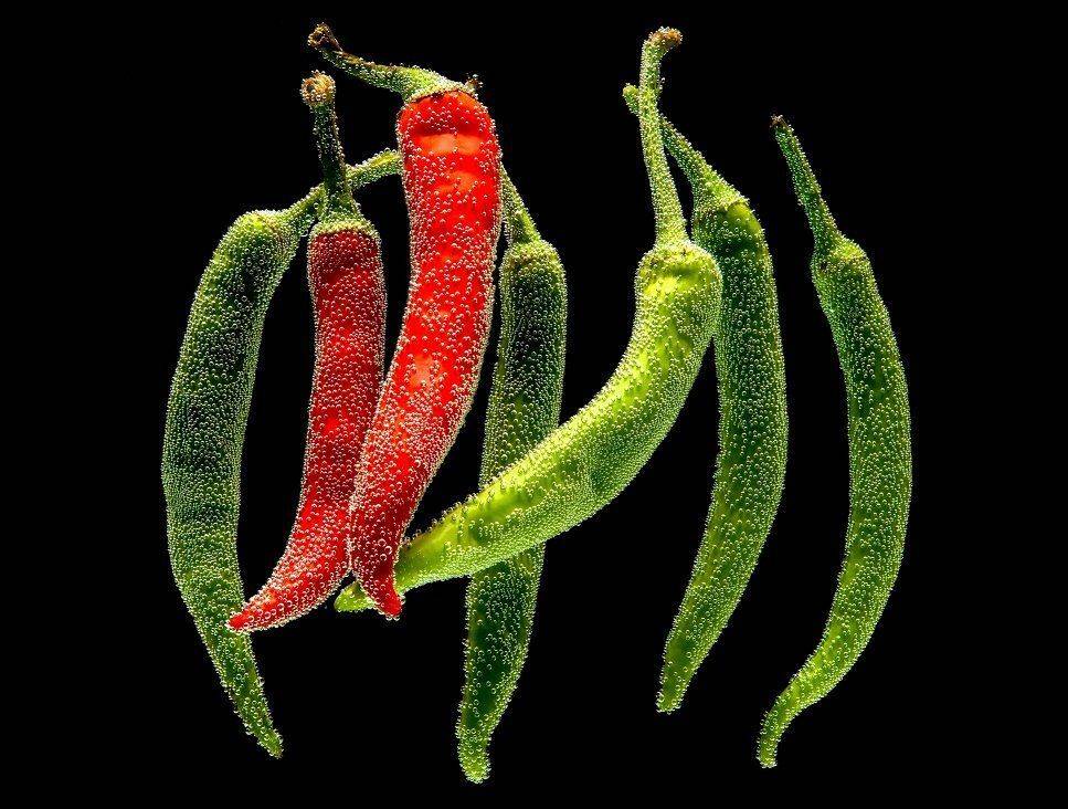 , Екатерина