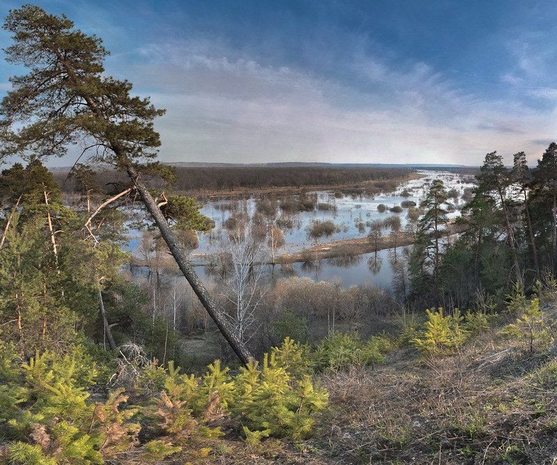 весна, пейзаж, лес, природа, панорама Берегите природу! фото превью