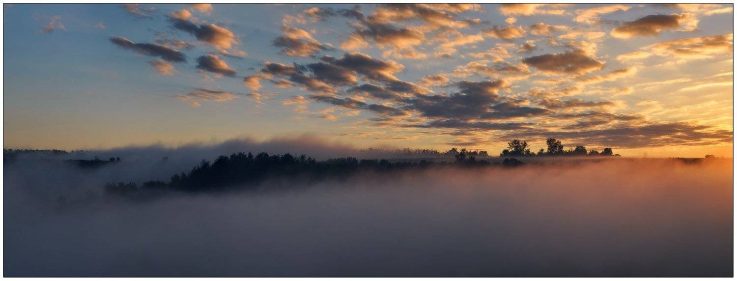 , Денис Кривой