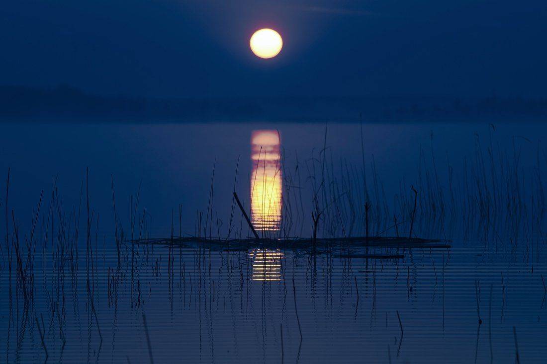 , Rimantas Bikulcius