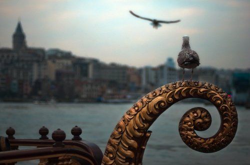 king of bosphorus
