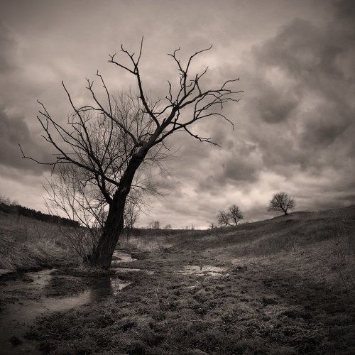 перед дождём