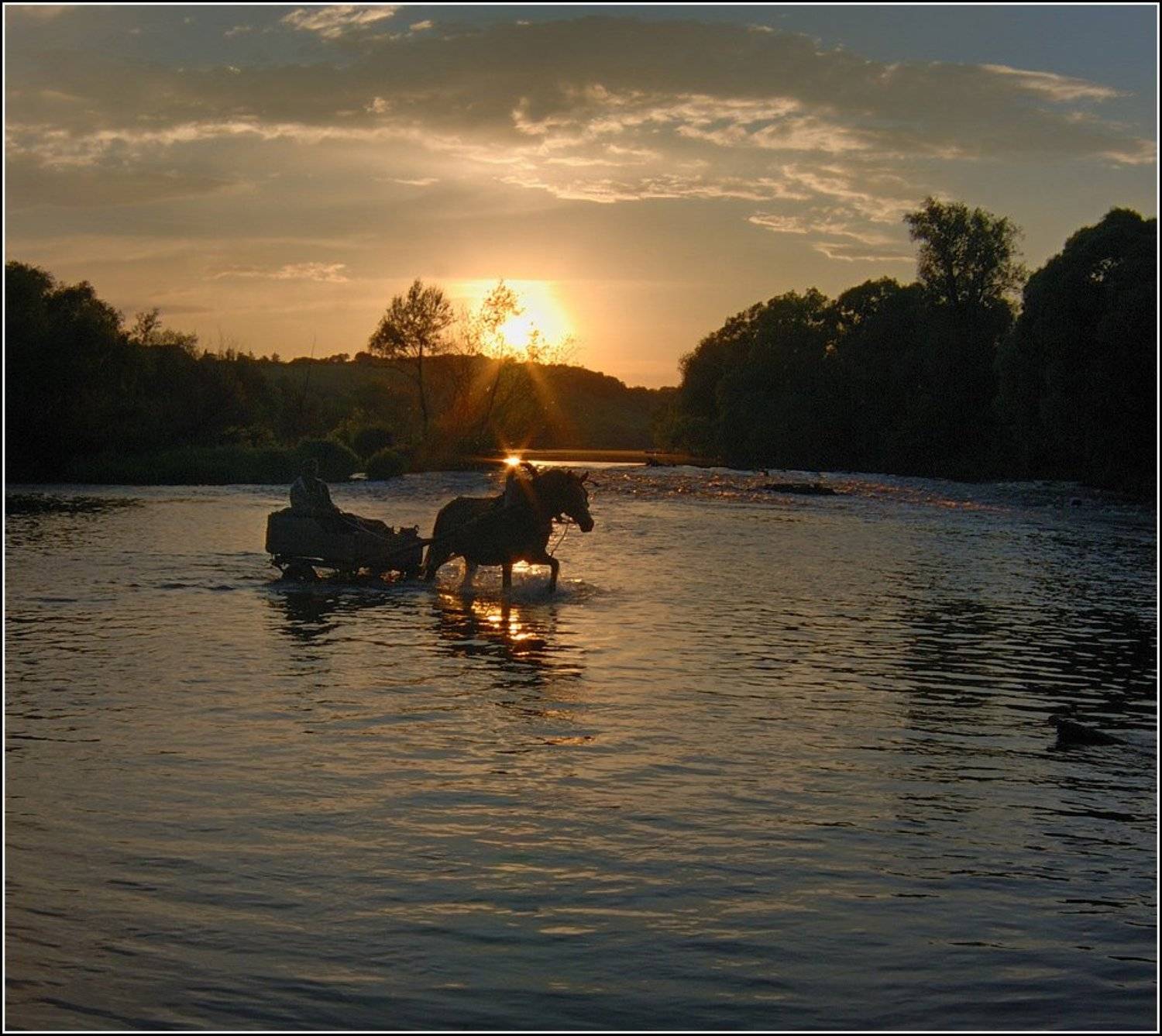 река,красивая,меча,тульская,область,брод,лошадь, Александр Чувилин