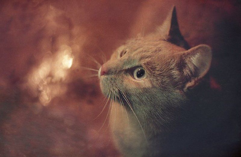 Фотография с большой историей фото превью