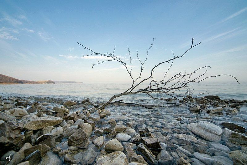 *** фото превью