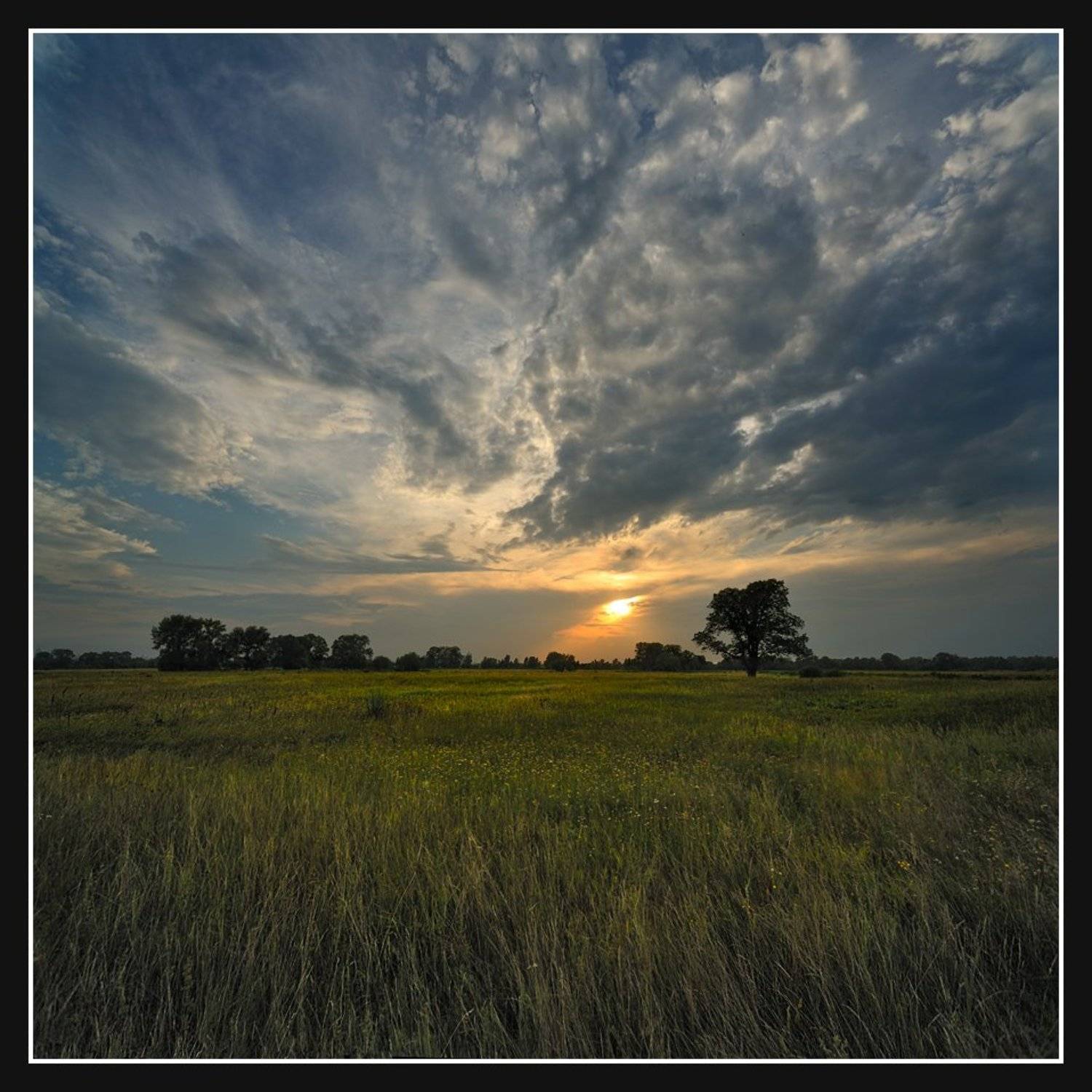 , Алексей Соловей