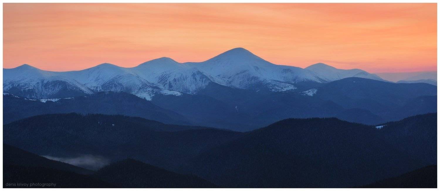 , Денис Кривой