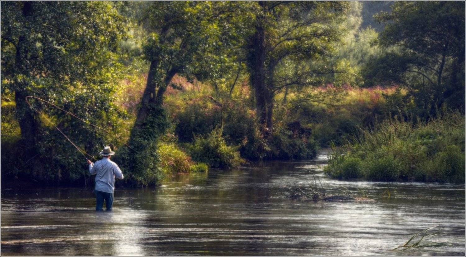 fly август студеная вода голавль елец лето муха нахлыст пейзаж рассвет река рыба рыбалка утро шнур,удилище,loomis,вязание,мушки,шнур,стриммер,нимфа, Влад Соколовский