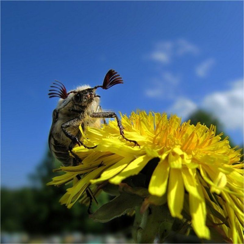 Ответственный за Всё :) фото превью