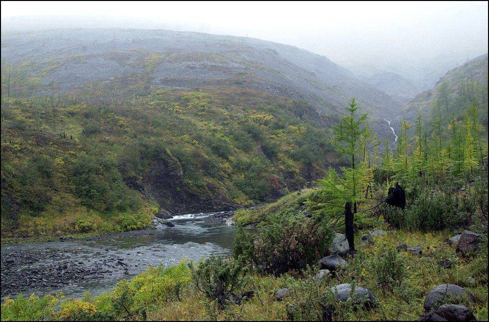 таймыр, Vladimir