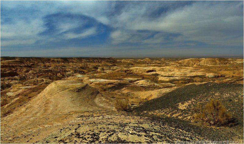 богуты, степь, красные горы, белые горы, казахстан Богуты в цвете фото превью