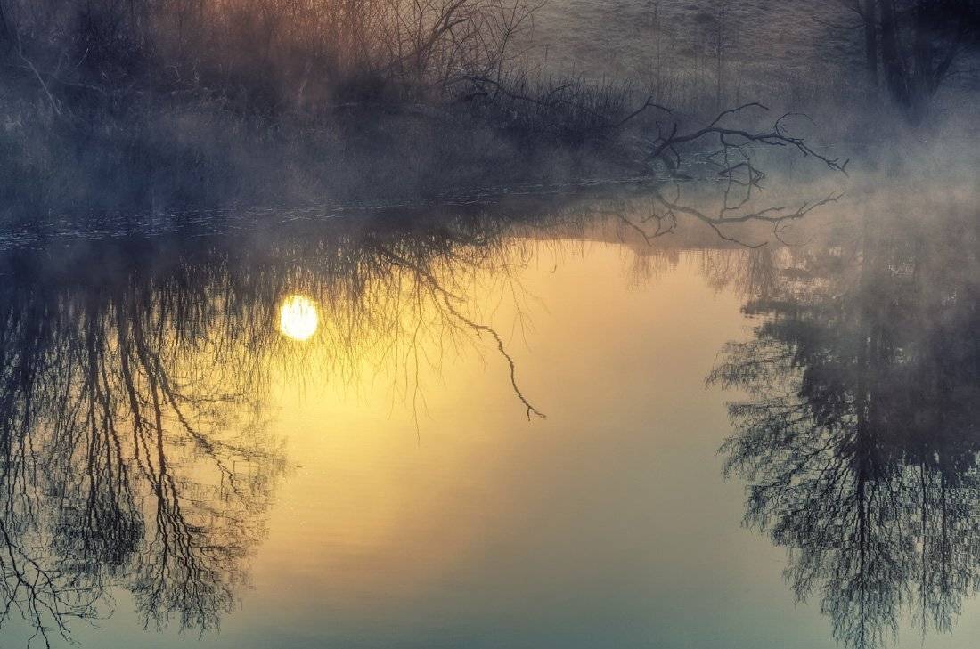 , Rimantas Bikulcius