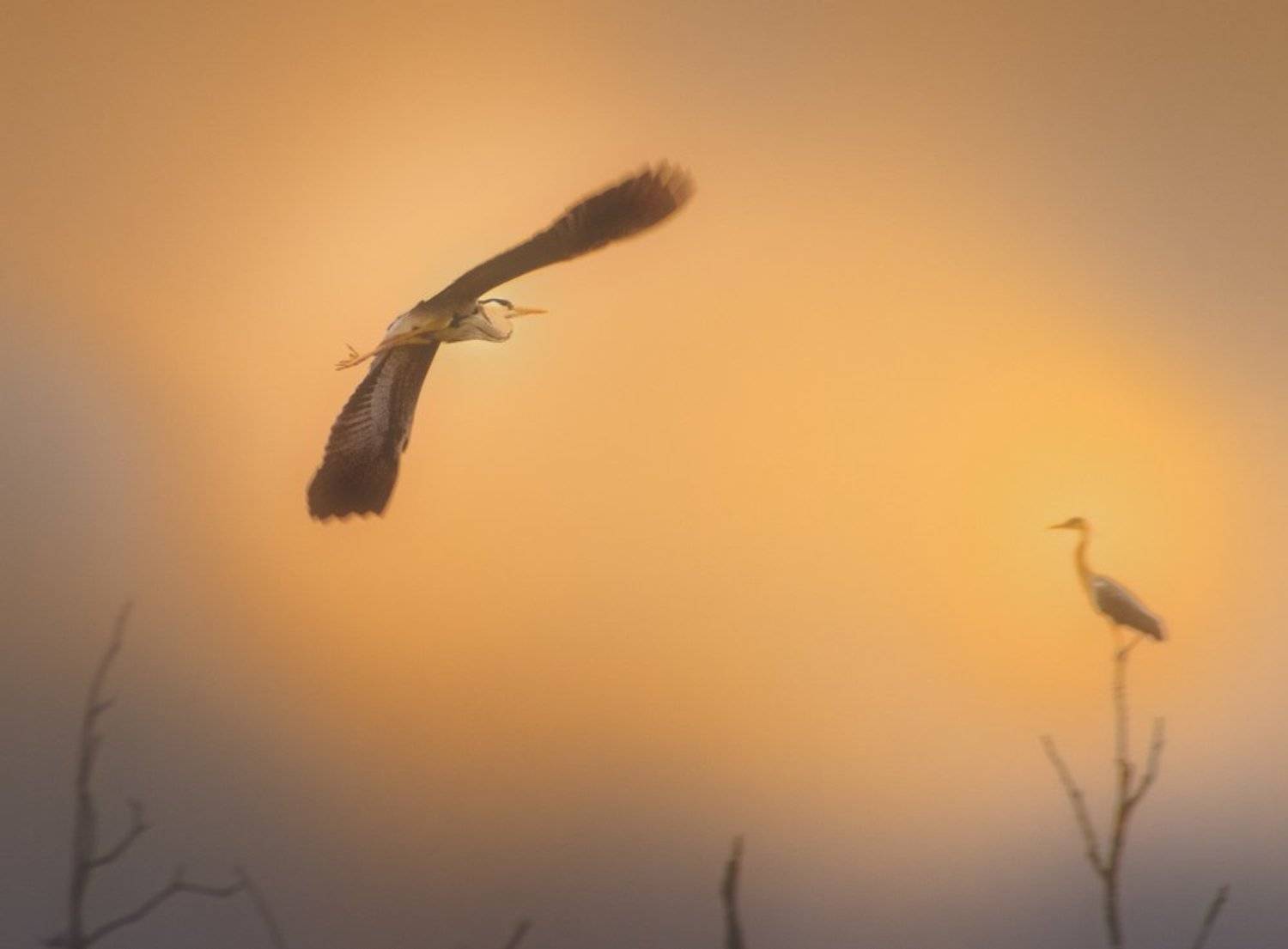 , Александр Титаренко