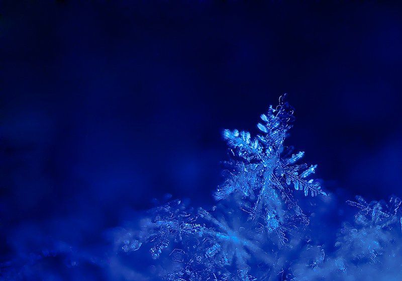 макро, снежинка Неудачное приземление фото превью