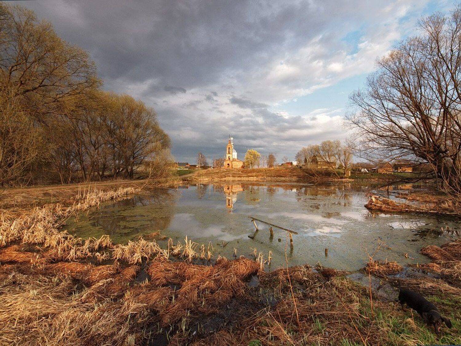 , Максим Евдокимов