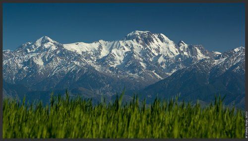 Взгляд на любимую гору