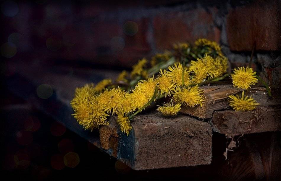 , Владимир Осауленко