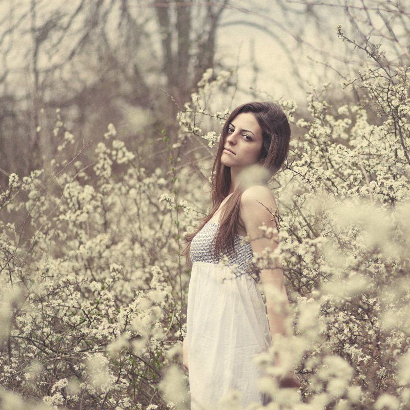 ........ фото превью