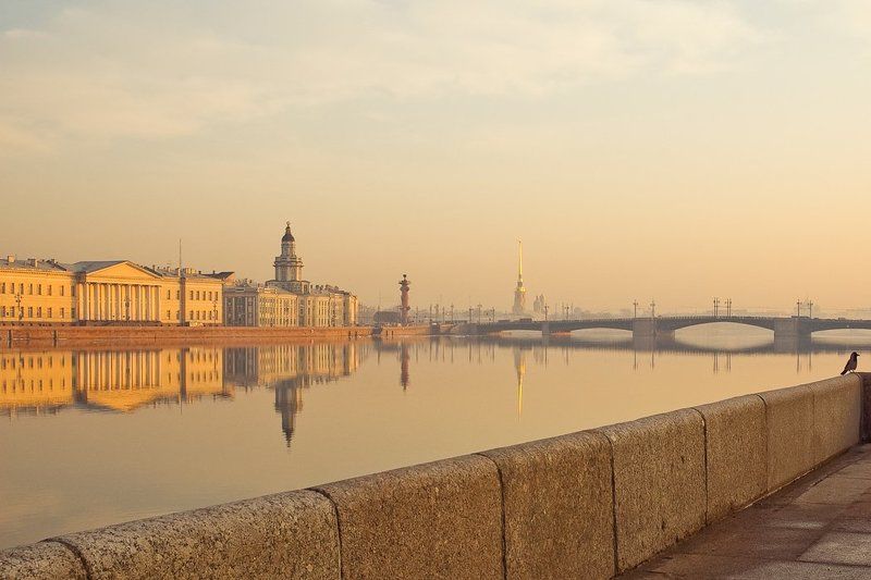парапет,утренняя ворона,нева,петербург,александр алексеев,881,питер,город,утро,весна Утренняя ворона фото превью