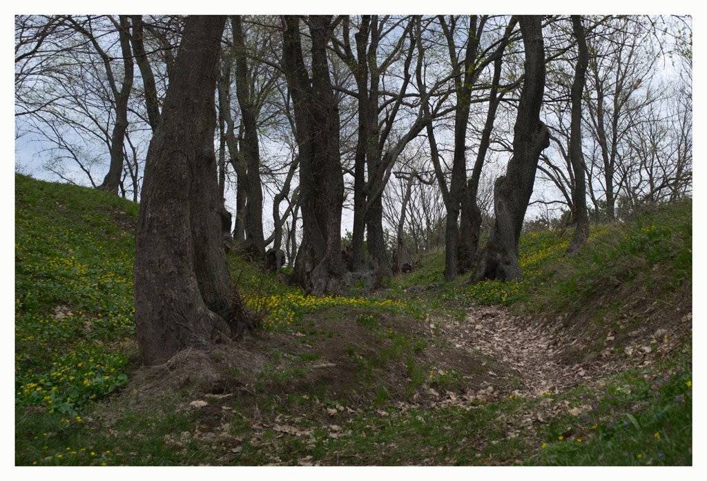 , Сергей Полукаров