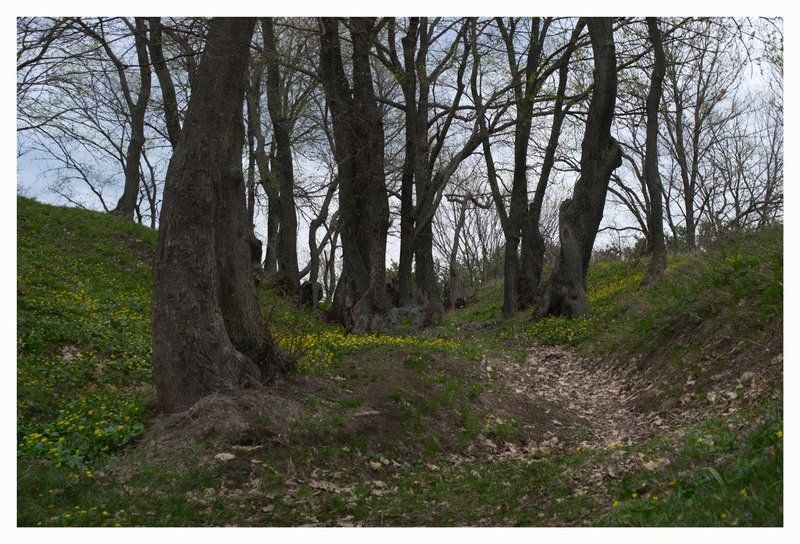 * * * фото превью