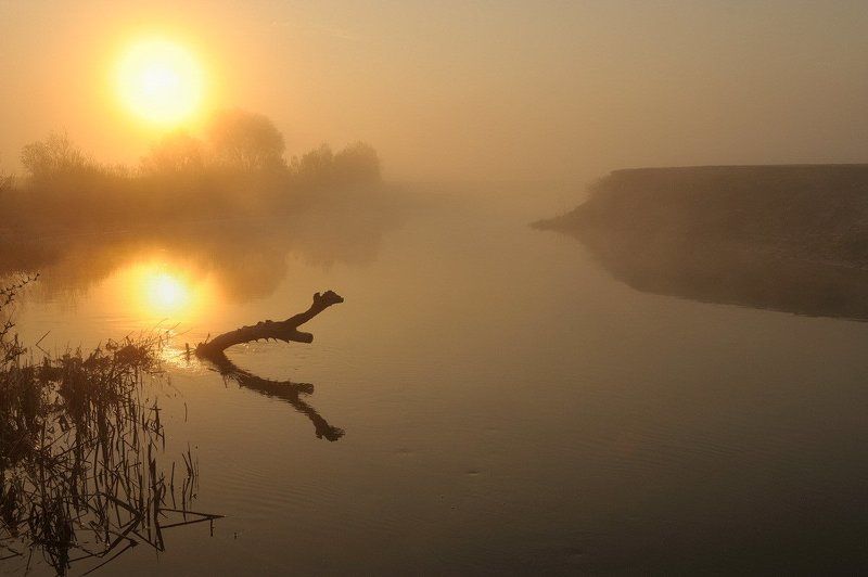 Песня... фото превью